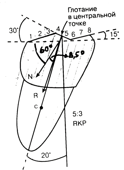 Рис. 3. Момент силы при окклюзии 5:3 (между нагрузкой R и осью зуба угол в 1,5°), L~0, M~0.