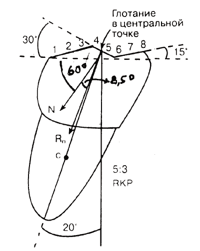 Рис. 3. Действие силы Rn при глотании происходит вдоль оси. Между Rn и осью угол в 15° (L~0, M~0)