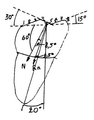 Рис. 3. Действие силы реакции Rn при глотании вдоль оси. Между Rn и осью угол 1,5° (L~0, M~0) 